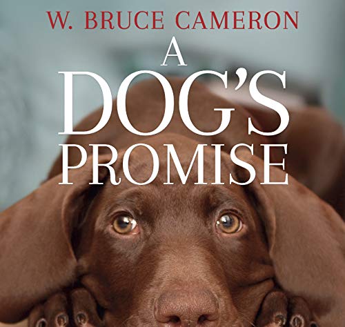 A Dog's Promise