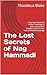 The Lost Secrets of Nag Ham...