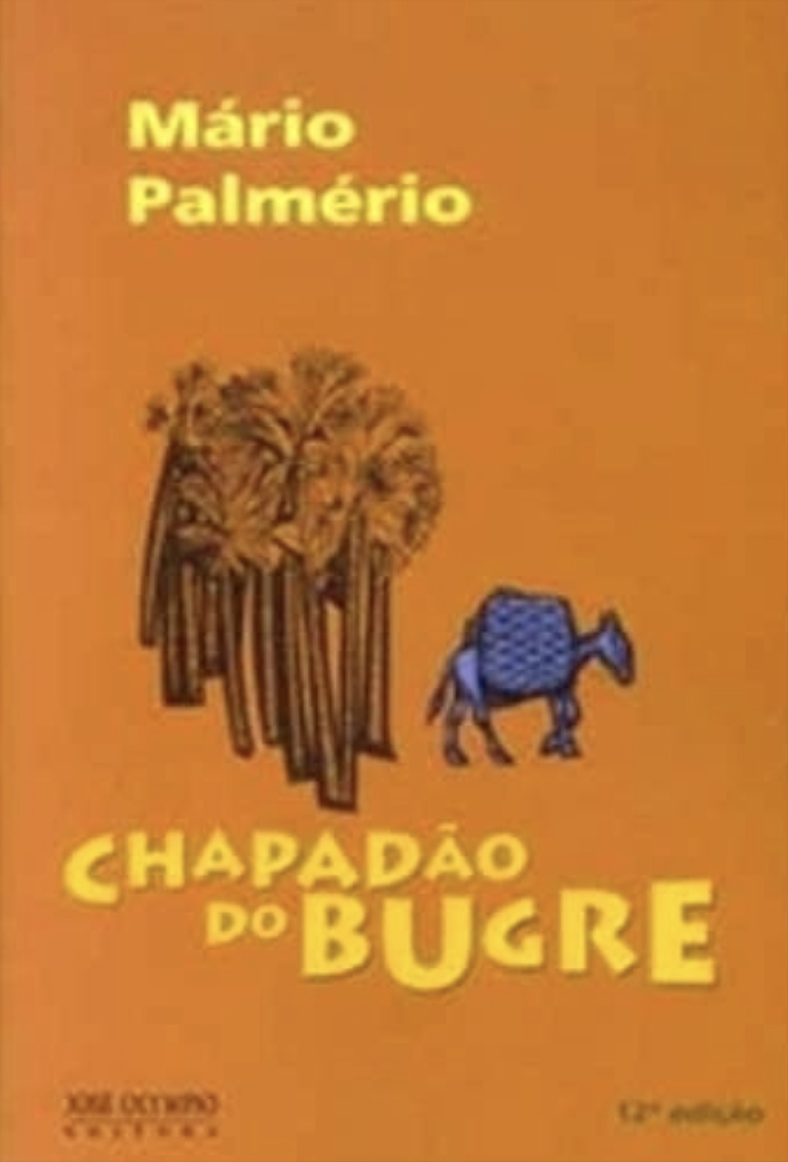 Chapadão do bugre (Paperback)