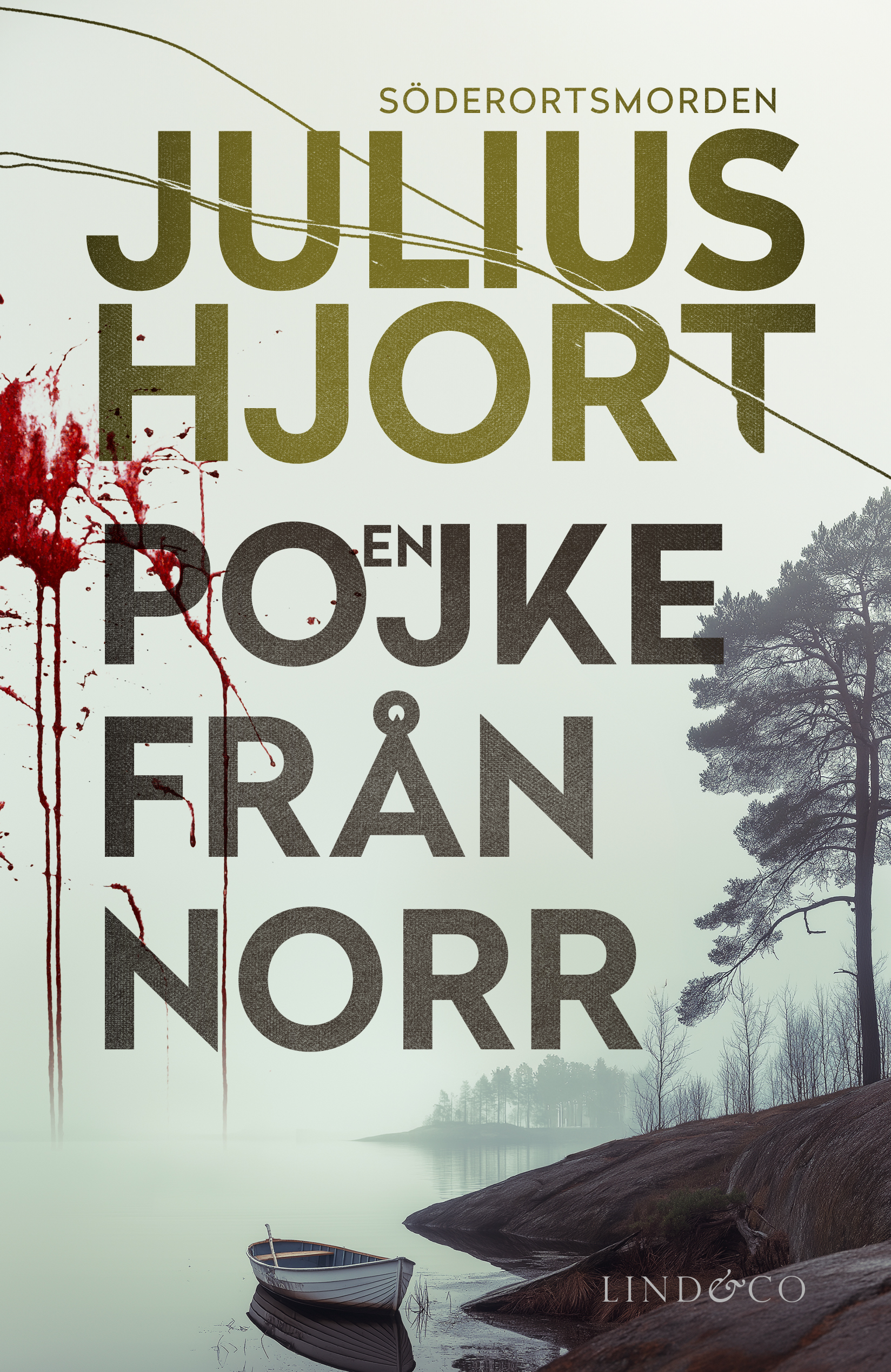 En pojke från norr (Söderortsmorden, #1)