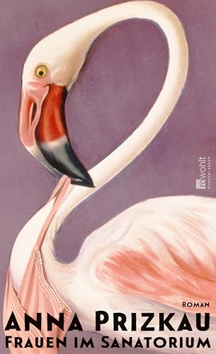 Frauen im Sanatorium (Kindle Edition)