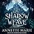 The Shadow Weave: Spell Weaver, Book 2
