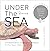 UNDER THE SEA TURTLE: Vin W...