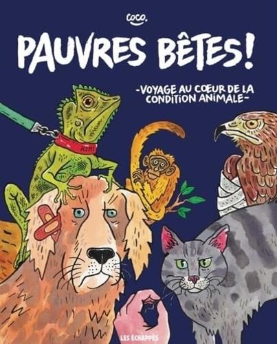 Pauvres bêtes ! Voyage au coeur de la condition animale (Paperback)