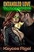 Entangled Love: A Steamy, S...