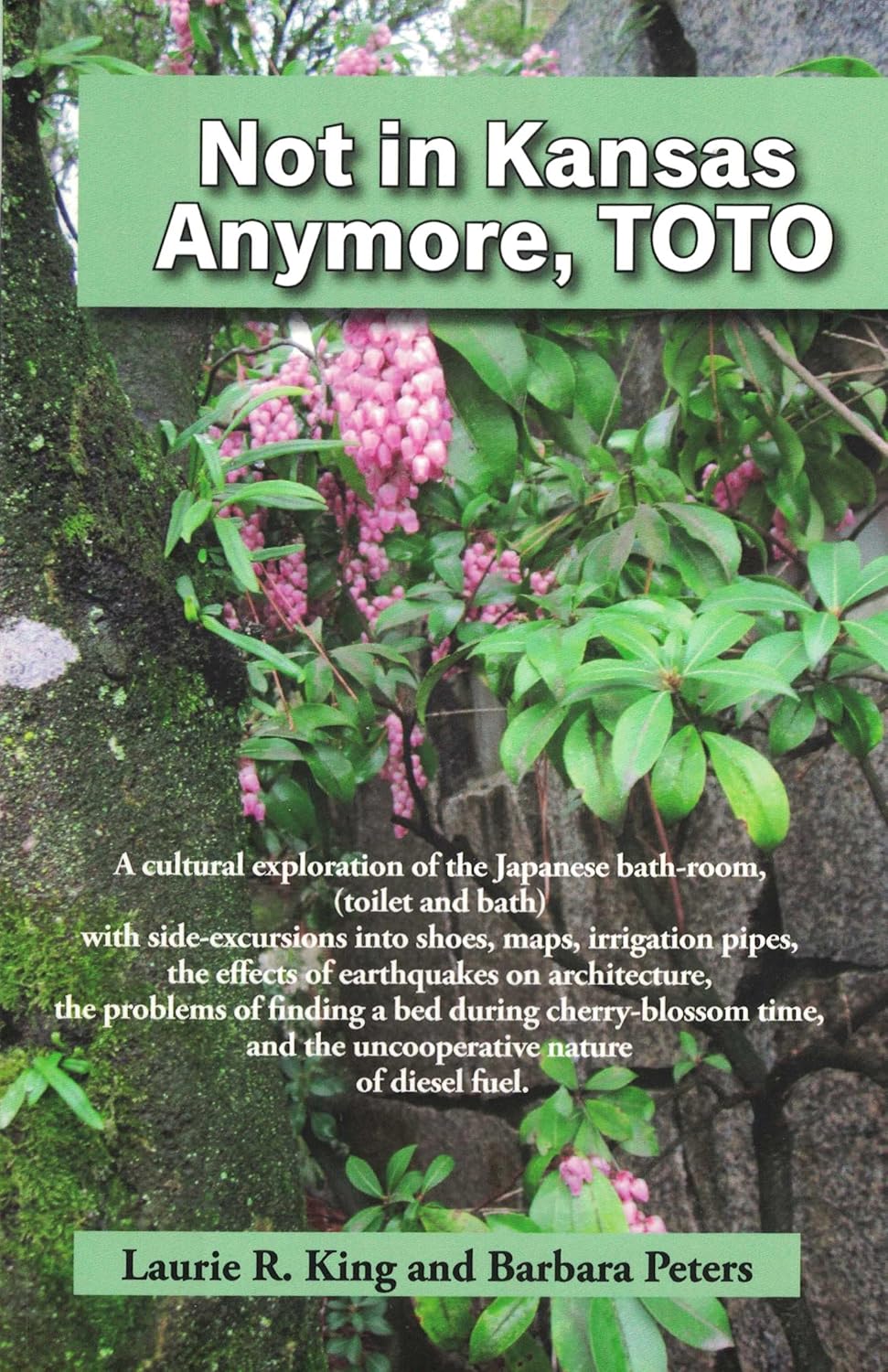 Not in Kansas Anymore, TOTO (Paperback)