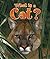 What Is a Cat?