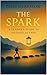 The Spark: A Leader's Guide to Inspired Action