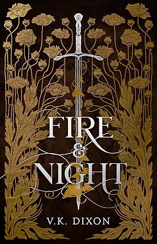 Fire & Night (Warriors & Mages, #1)
