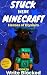 Stuck Inside Minecraft: Book 19