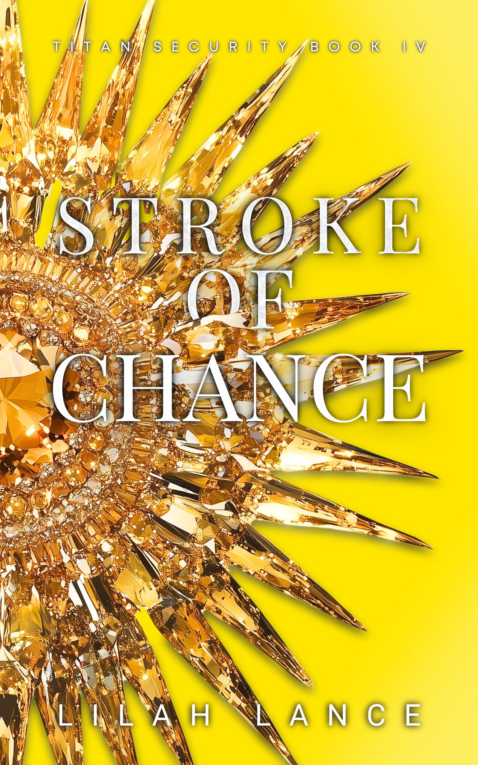Stroke of Chance (Titan Security Series, #4)