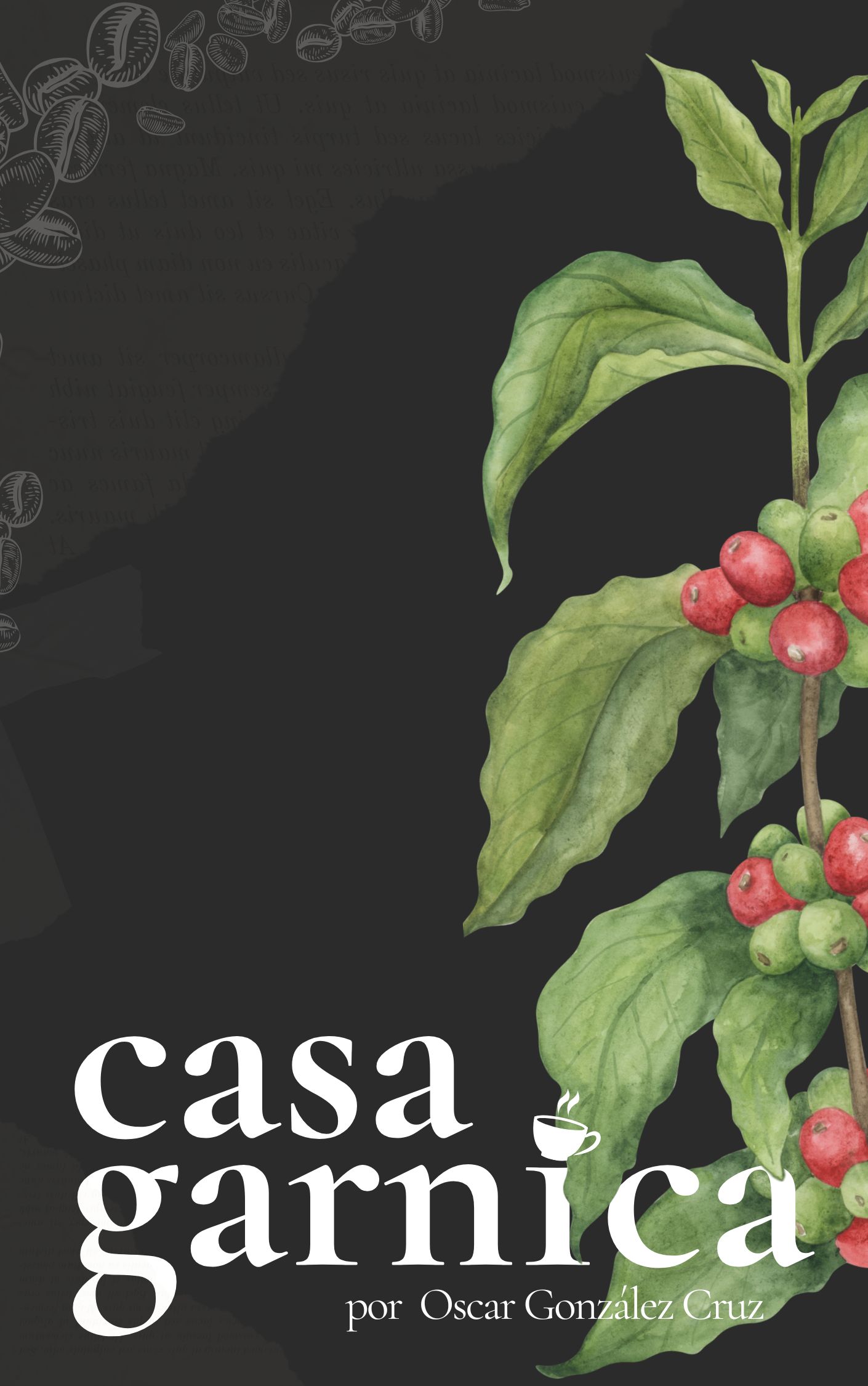 Casa Garnica