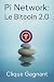 Pi Network : Le Bitcoin 2.0