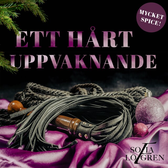 Ett hårt uppvaknande (ebook)