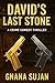 David's Last Stone: A Crime...