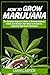 How to Grow Marijuana: The ...