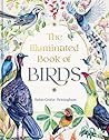 The Illuminated Book of Birds by Robin Crofut-Brittingham