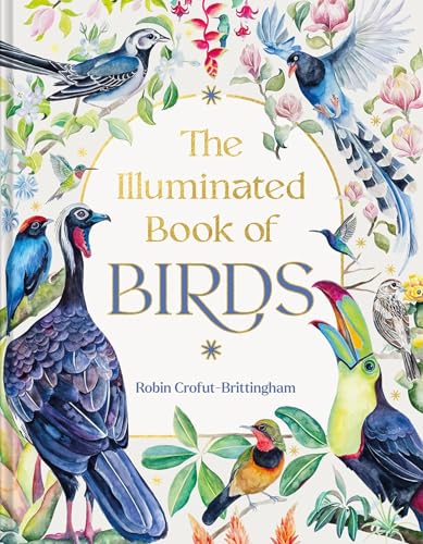 The Illuminated Book of Birds (Hardcover)