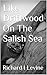 Like Driftwood On The Salis...