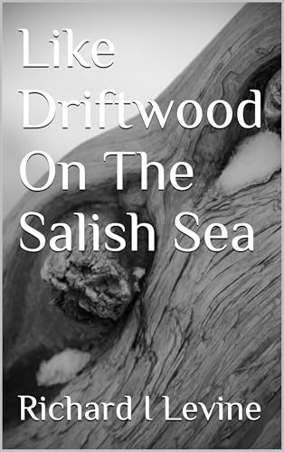 Like Driftwood On The Salish Sea : a small town romance (Kindle Edition)