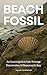 Beach Fossil: An Investigat...