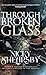 Through Broken Glass by Nicky Shearsby