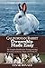 Californian Rabbit Ownershi...