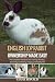 English Lop Rabbit Ownershi...