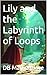 Lily and the Labyrinth of L...
