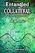 Entangled Collateral: A Brooke Hudson Novel