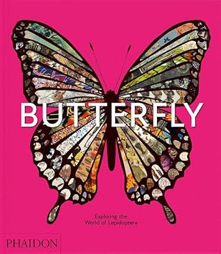 Butterfly: Exploring the World of Lepidoptera