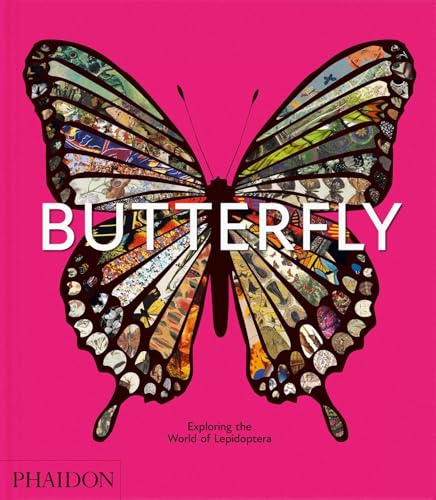 Butterfly: Exploring the World of Lepidoptera (Hardcover)