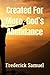 Created For More, God’s Abundance by Frederick Samuel