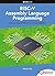 RISC-V Assembly Language Pr...