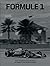 Formule 1 - Achter de schermen en op het circuit. Van Fangio ... by Peter Nygaard