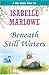 Beneath Still Waters (A Blu...