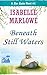 Beneath Still Waters (A Blu...