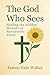 The God Who Sees: Healing the Hidden Wounds of Narcissistic Abuse (The Heart of the Father Book 1)