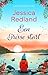 Een frisse start (Lake District) (Dutch Edition)