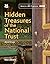 Hidden Treasures of the National Trust by Anna Groves
