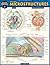 Anatomy Microstructures: a ...
