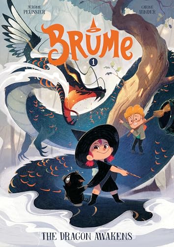 The Dragon Awakens (Brume, #1)
