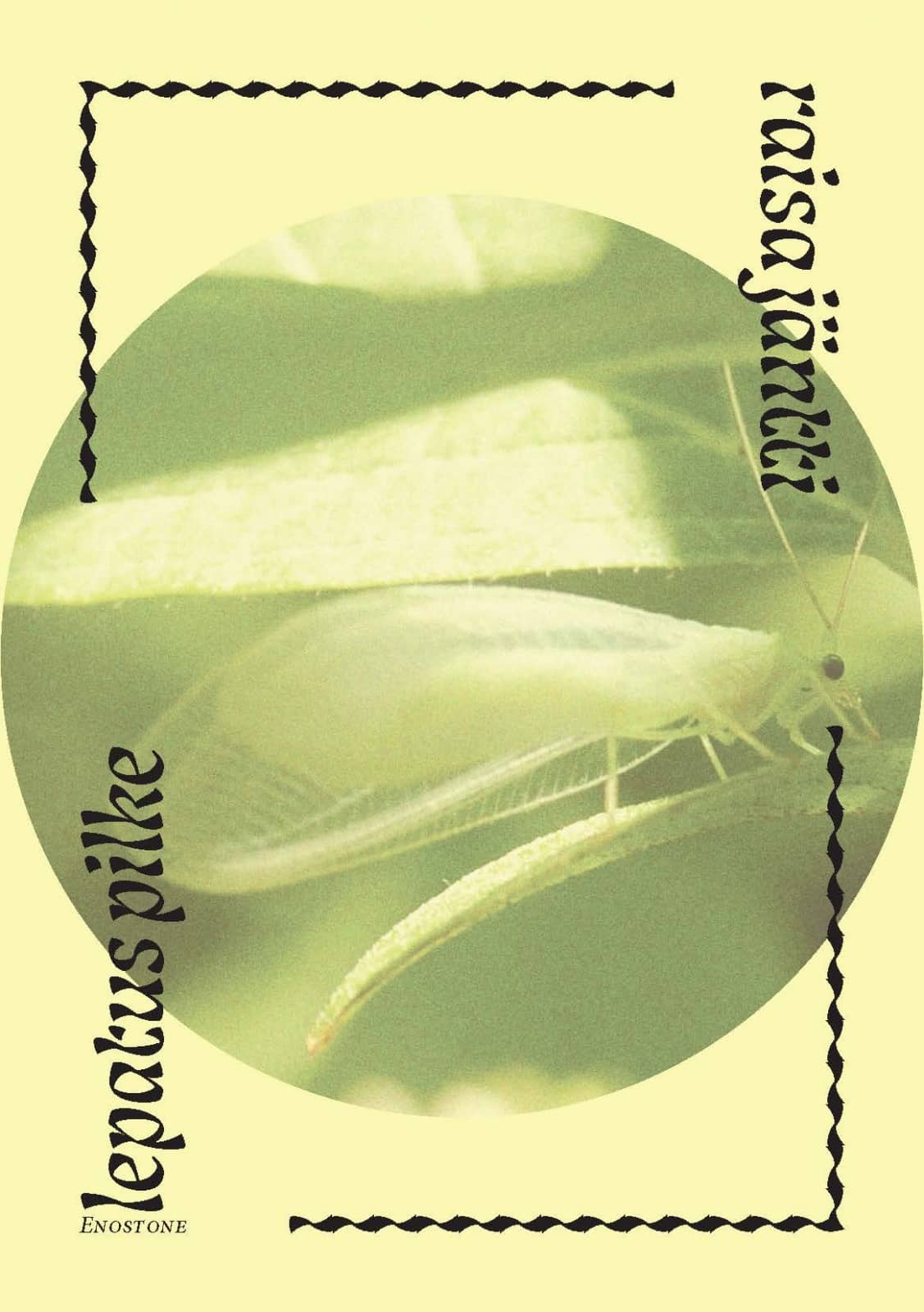 lepatus pilke (Paperback)