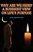 Why Are We Here? A Buddhist View on Life’s Purpose by Buddha's Path