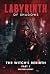 LABYRINTH OF SHADOWS by Michaela Riley