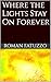 Where the Lights Stay On Forever by Roman Fatuzzo