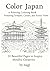 Color Japan: A Journey Thro...