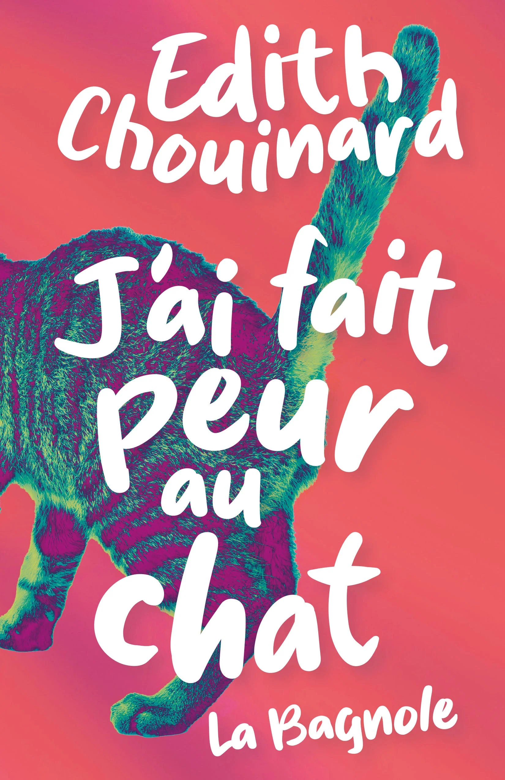 J'ai fait peur au chat (Paperback)