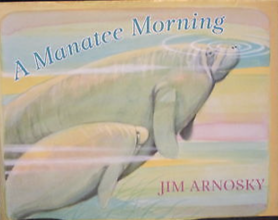 A Manatee Morning (Hardcover)