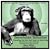 Darwinian Delusion by Russ Miller